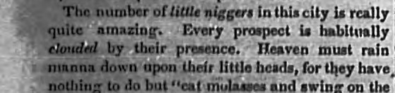 The editorial's final paragraph as printed, including a racial slur